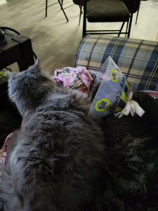 Tommy&Jerry Tommy & Jerry Cats